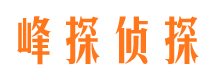 凤泉市婚外情调查